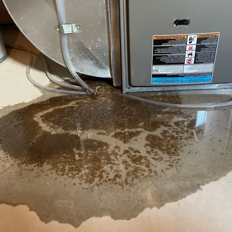Pipe Burst and Leak Restoration in North Bergen, NJ