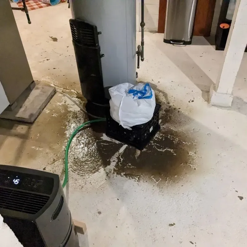 Sewage Backup Cleanup Service in North Bergen, NJ